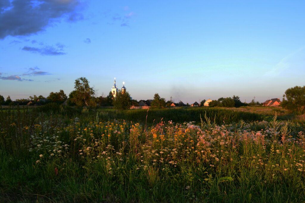 Traditional wooden cottage in Mebalovo village along Klyazma River with birch forest and tranquil rural Russian scenery