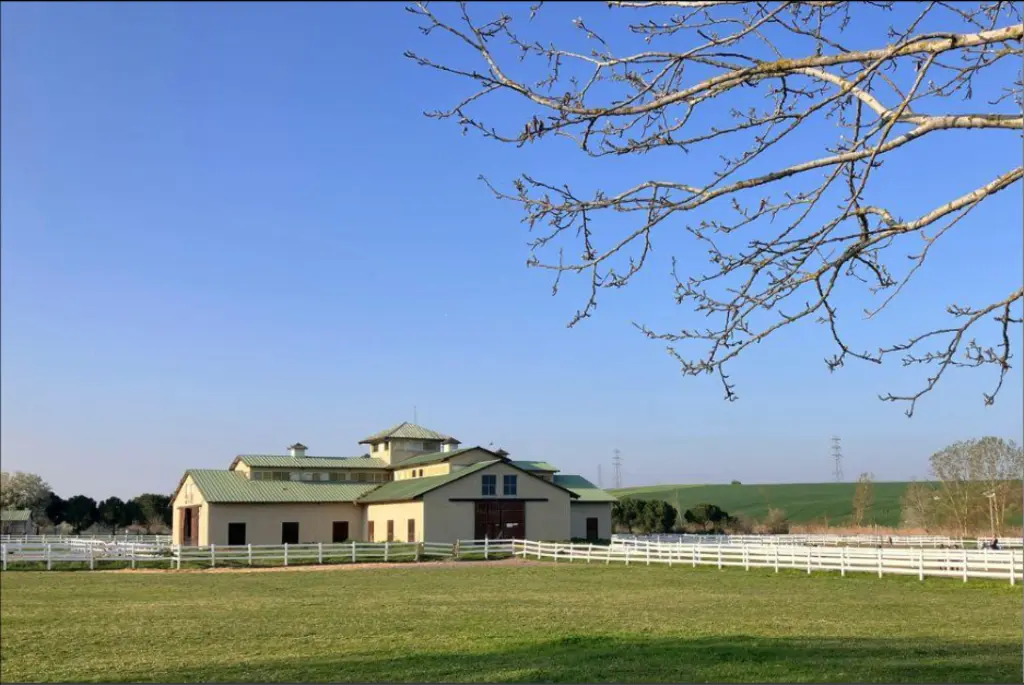 Modern Farmhouse Done Right: What Actually Makes It Work