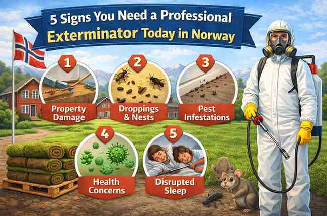 5 Signs You Need a Professional Exterminator Today in Norway